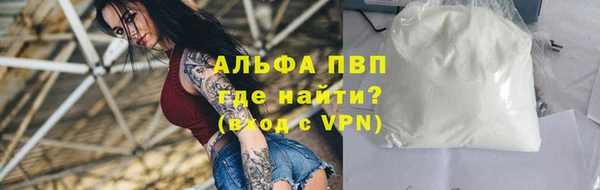 стаф Пересвет