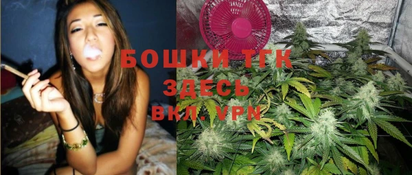 ешки Алзамай