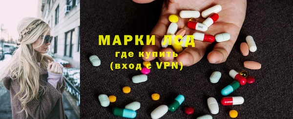 хмурый Алексин