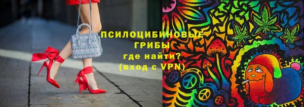 стаф Пересвет