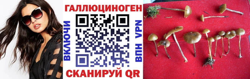 blacksprut зеркало  Фурманов  мориарти Telegram  цены наркотик  Псилоцибиновые грибы мицелий 