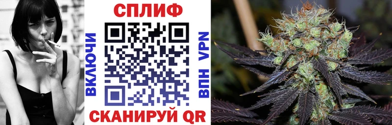 Каннабис планчик  это наркотические препараты  Фурманов  блэк спрут как зайти 